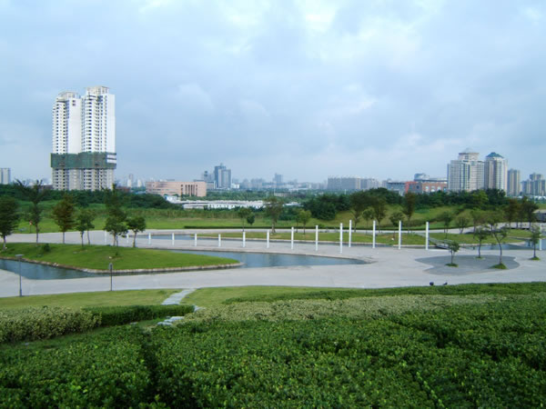 �������Y