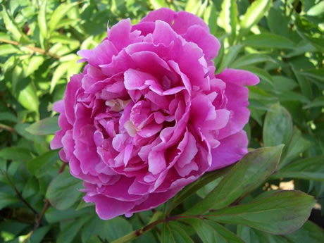 �������Y