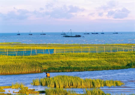 �������Y