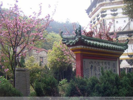 �������Y