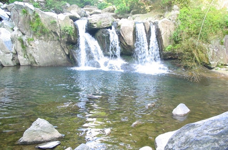 �������Y