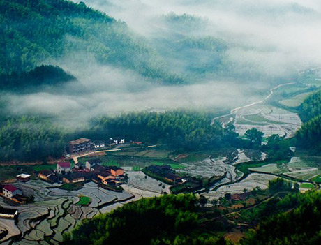 �������Y