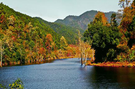 �������Y