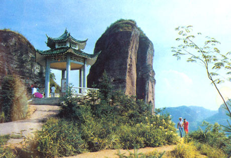 �������Y