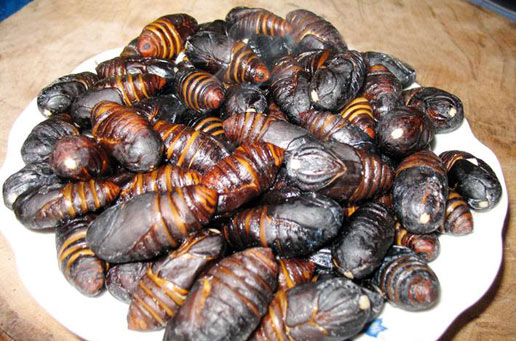 �������Y