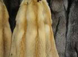 �������Y