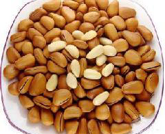 �������Y