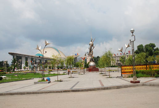 �������Y