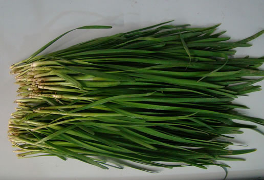 �������Y