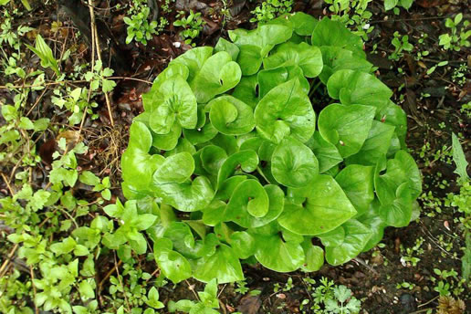 �������Y