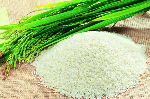 �������Y