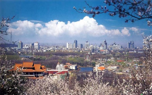 �������Y