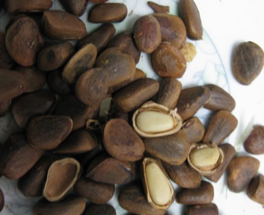 �������Y