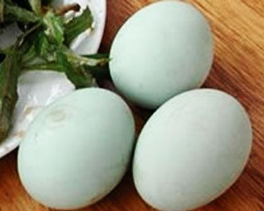 �������Y