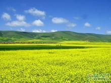 �������Y