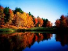 �������Y