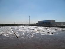 �������Y