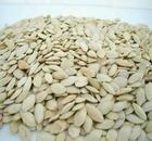 �������Y