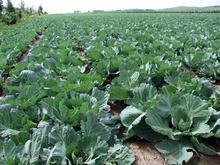 �������Y