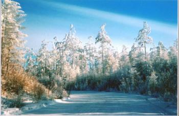 �������Y