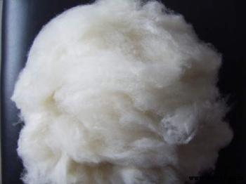 �������Y