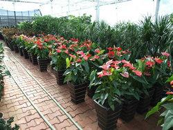 �������Y