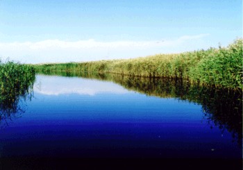 �������Y