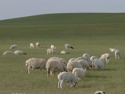 �������Y