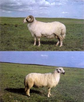 �������Y