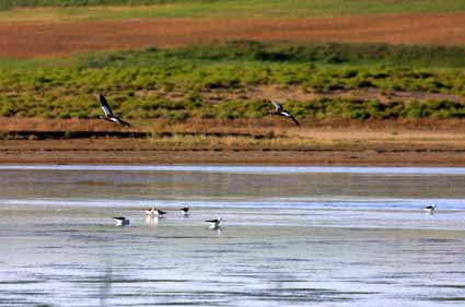 �������Y