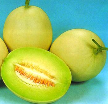 �������Y