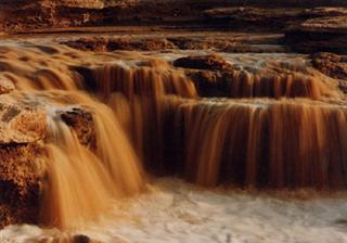 �������Y