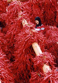 �������Y