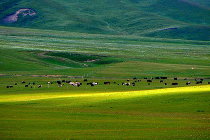 �������Y