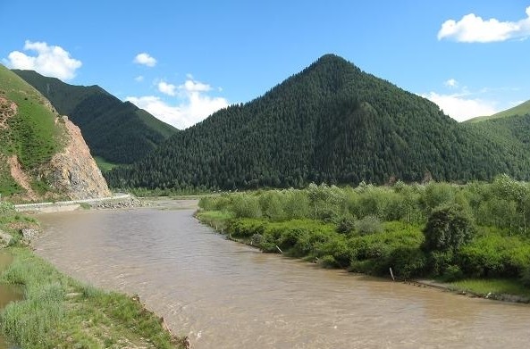 �������Y