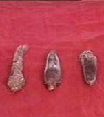 �������Y