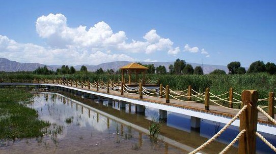 �������Y