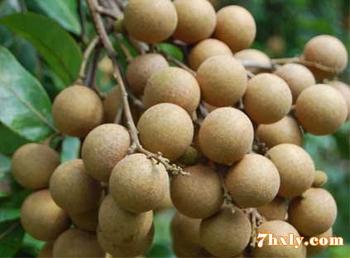 �������Y