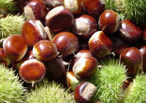 �������Y