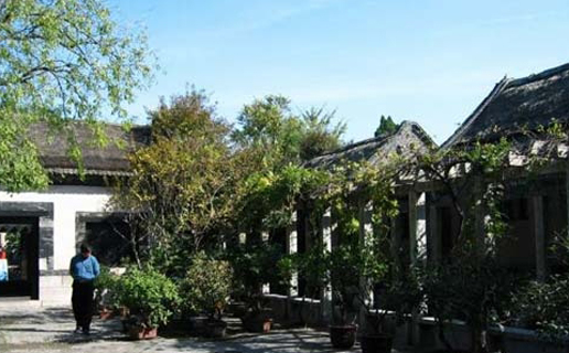 �������Y