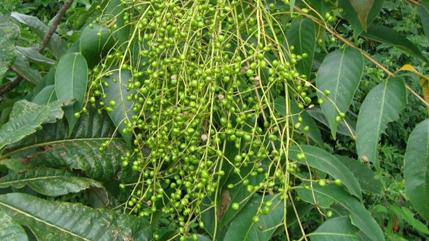 �������Y