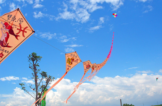 �������Y