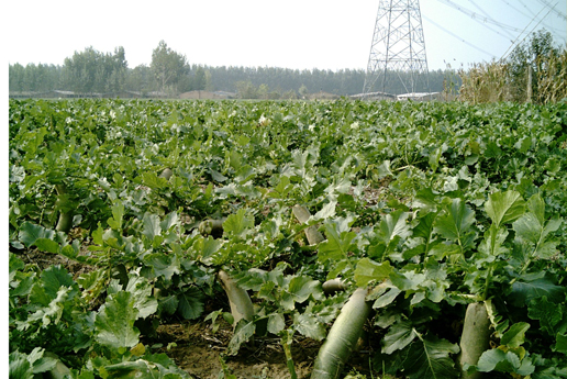 �������Y