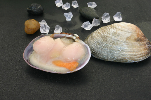 �������Y