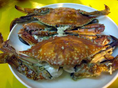 �������Y