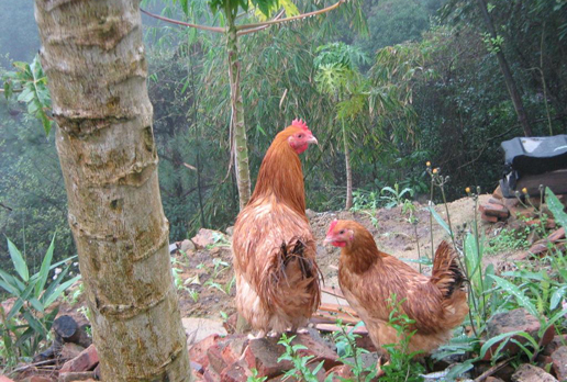 �������Y