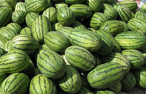 �������Y