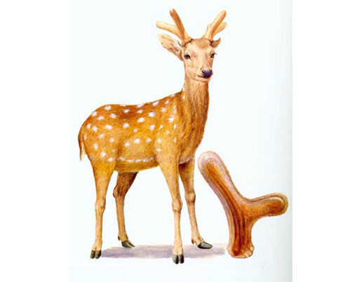 �������Y