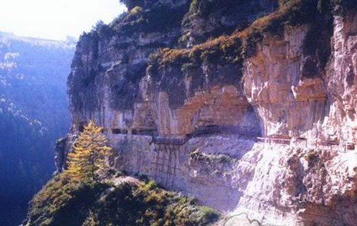 �������Y