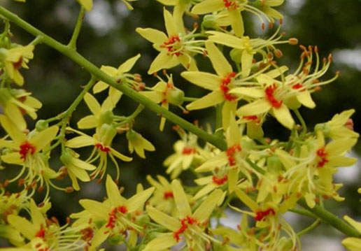 �������Y